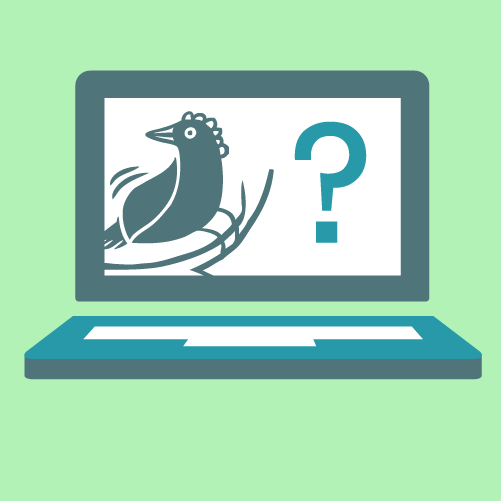 Follow Twitter for business growth